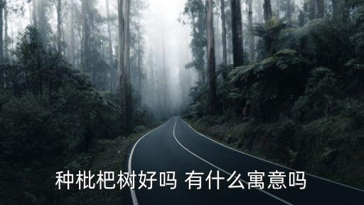 种枇杷树好吗 有什么寓意吗