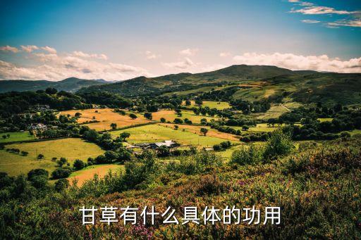 甘草作用与功效，甘草有什么具体的功用