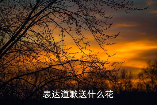 道歉用什么花，表达道歉送什么花