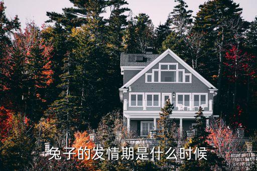 兔子的发情期是什么时候