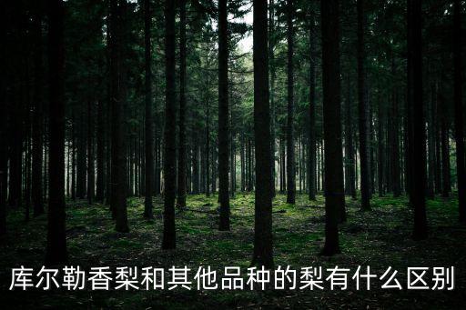 库尔勒梨，库尔勒香梨和其他品种的梨有什么区别