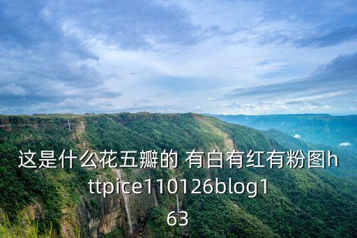 这是什么花五瓣的 有白有红有粉图httpice110126blog163