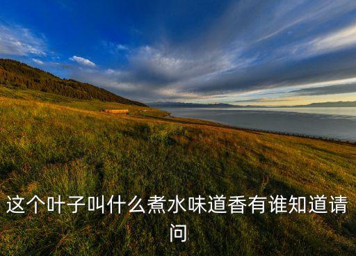 这个叶子叫什么煮水味道香有谁知道请问