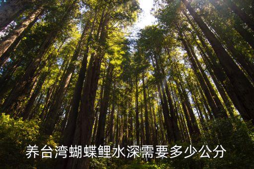 养台湾蝴蝶鲤水深需要多少公分