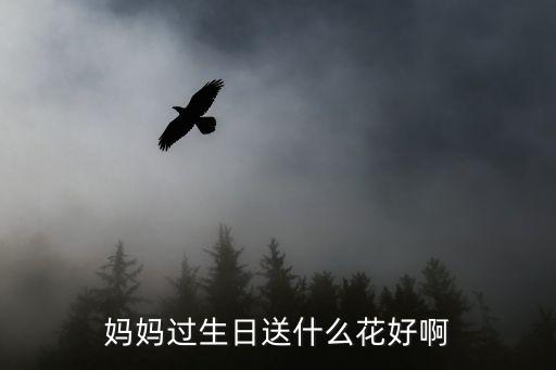 妈妈过生日送什么花好啊