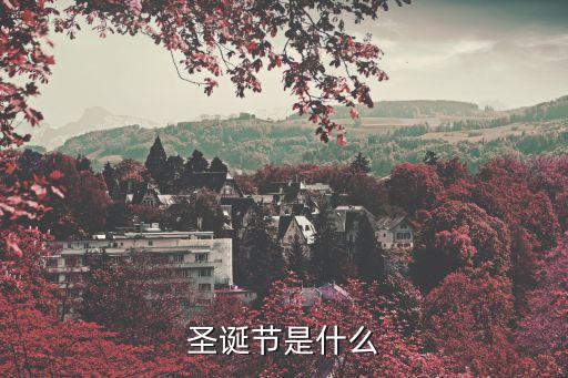 圣诞节是什么