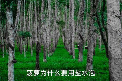 菠萝为什么要用盐水泡