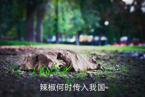 辣椒何时传入我国