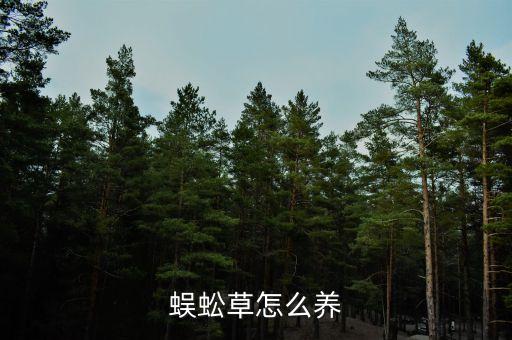 蜈蚣草怎么养