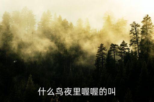 夜晚叫声连续的鸟，什么鸟夜里喔喔的叫