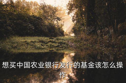 想买中国农业银行发行的基金该怎么操作