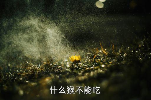 猴子能吃吗，猴类动物能吃吗