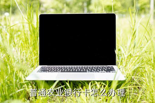 普通农业银行卡怎么办理