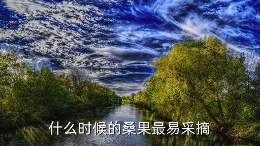 桑葚采摘时间，什么时候的桑果最易采摘