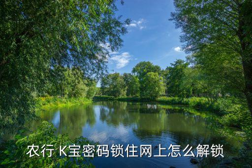 农行 K宝密码锁住网上怎么解锁