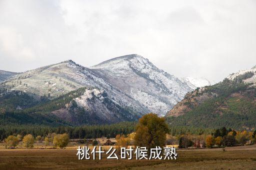 桃子什么季节成熟，桃子在什么时候熟
