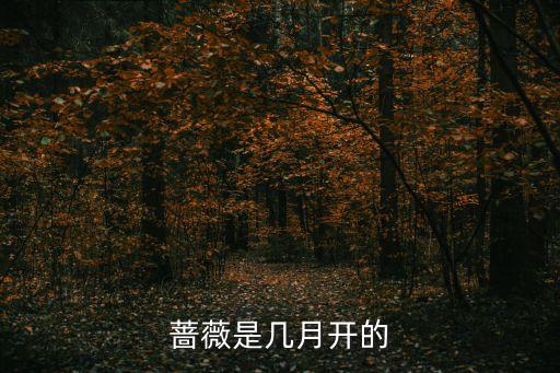 蔷薇花几月份开花，请问蔷薇花是几月开的
