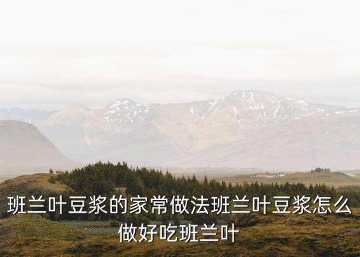 班兰叶豆浆的家常做法班兰叶豆浆怎么做好吃班兰叶