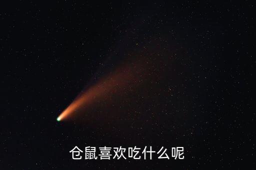 小仓鼠吃什么东西，仓鼠吃什么东西