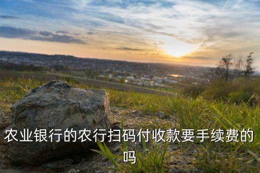 农业银行的农行扫码付收款要手续费的吗