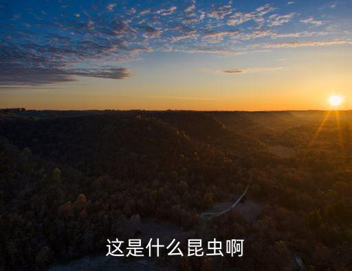 蝼骷，蝼蚼吃什么