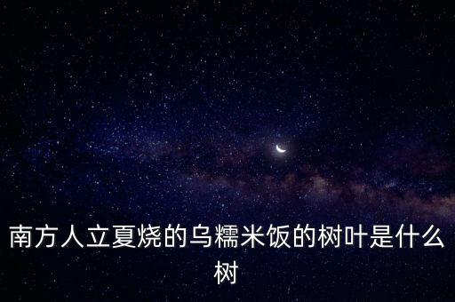南方人立夏烧的乌糯米饭的树叶是什么树