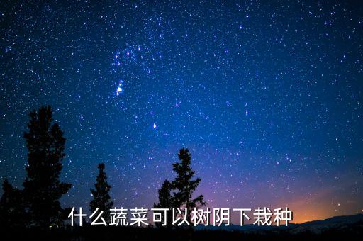 什么蔬菜可以树阴下栽种