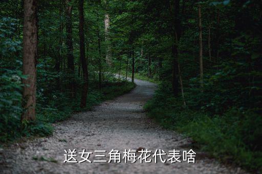 三角梅的花语，三角梅的花语是什么