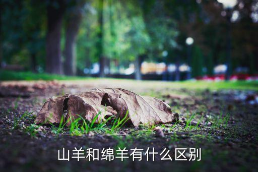 山羊和绵羊有什么区别