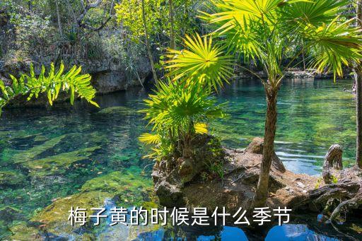 梅子黄的时候是什么季节