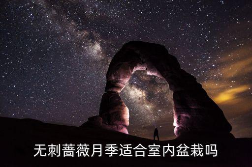 无刺月季，长的像玫瑰但是没有刺这是什么花呢
