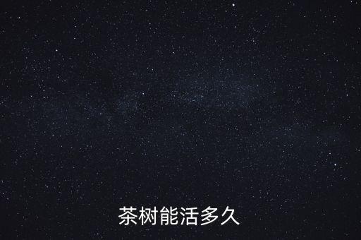 茶树能活多久