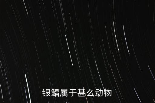 银鲳属于甚么动物