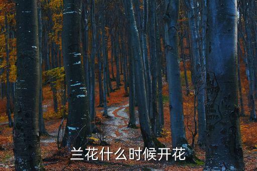 兰花什么时候开花