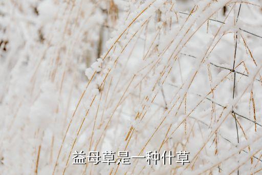益母草长什么样子，益母草长什么样有什么功效