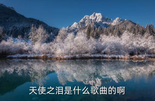 天使之泪是什么歌曲的啊