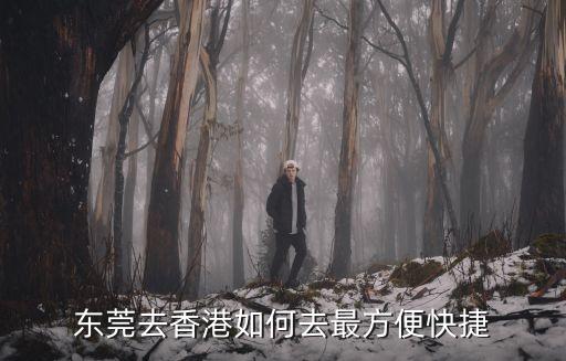 东坑农业园怎么去香港，从东莞怎么去香港