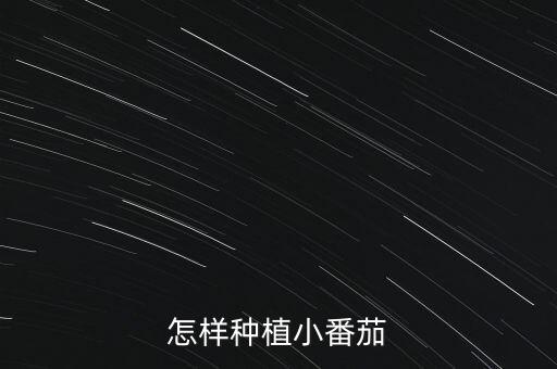 小番茄的种植方法，太太小菜园迷你番茄如何种植