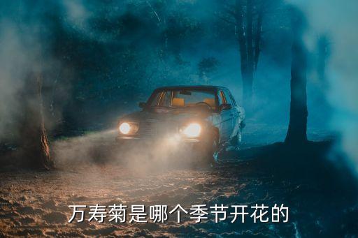 万寿菊是哪个季节开花的
