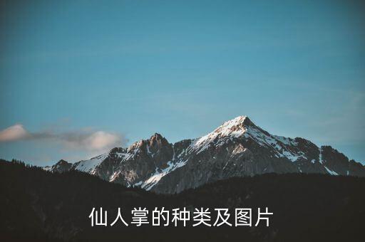 仙人掌的种类及图片