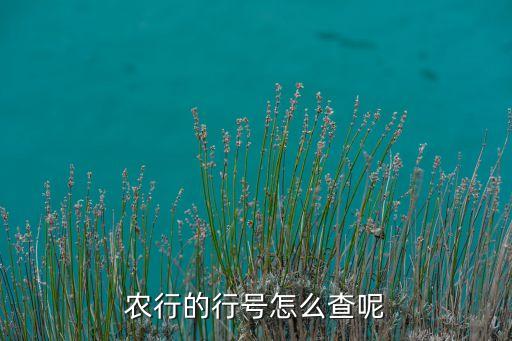 农行的行号怎么查呢