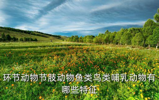 环节动物节肢动物鱼类鸟类哺乳动物有哪些特征