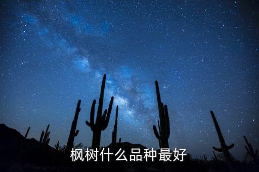 枫树什么品种最好