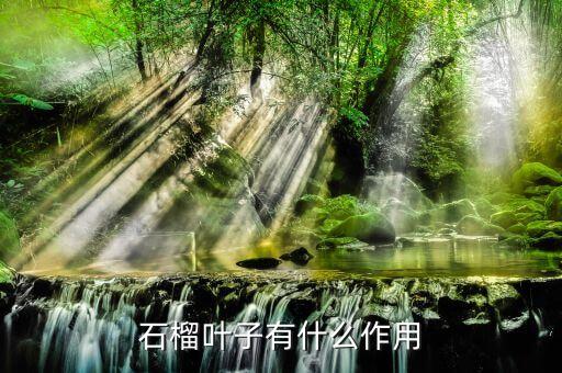 石榴叶子有什么作用