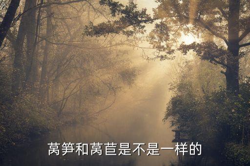 莴苣和莴笋，莴笋和莴苣是不是一样的