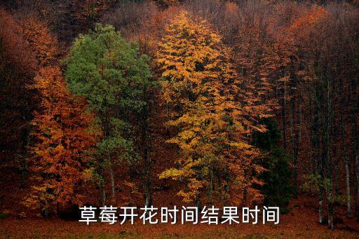 草莓多久开花结果，草莓开花时间结果时间