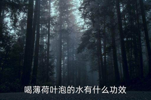 薄荷叶，喝薄荷叶泡的水有什么功效