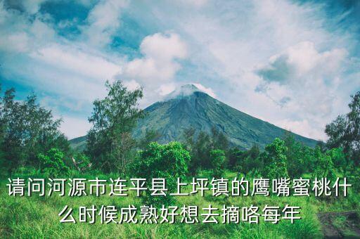 请问河源市连平县上坪镇的鹰嘴蜜桃什么时候成熟好想去摘咯每年