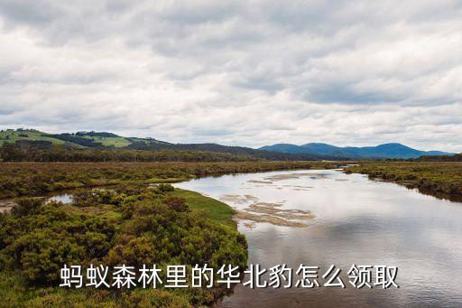 华北豹，蚂蚁森林里的华北豹怎么领取