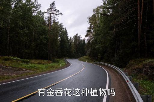 金香花，陏金香花落之后如何栽培管理